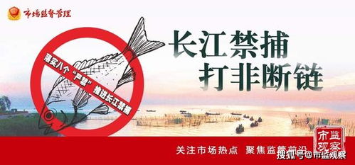 四川省乐山市市中区市场监管局 亮剑“长江禁渔”，重拳整治渔具销售见实效