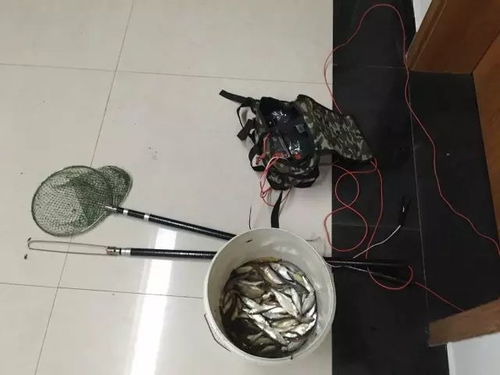 昭通禁渔令全面解析 时间、范围及渔具销售规定